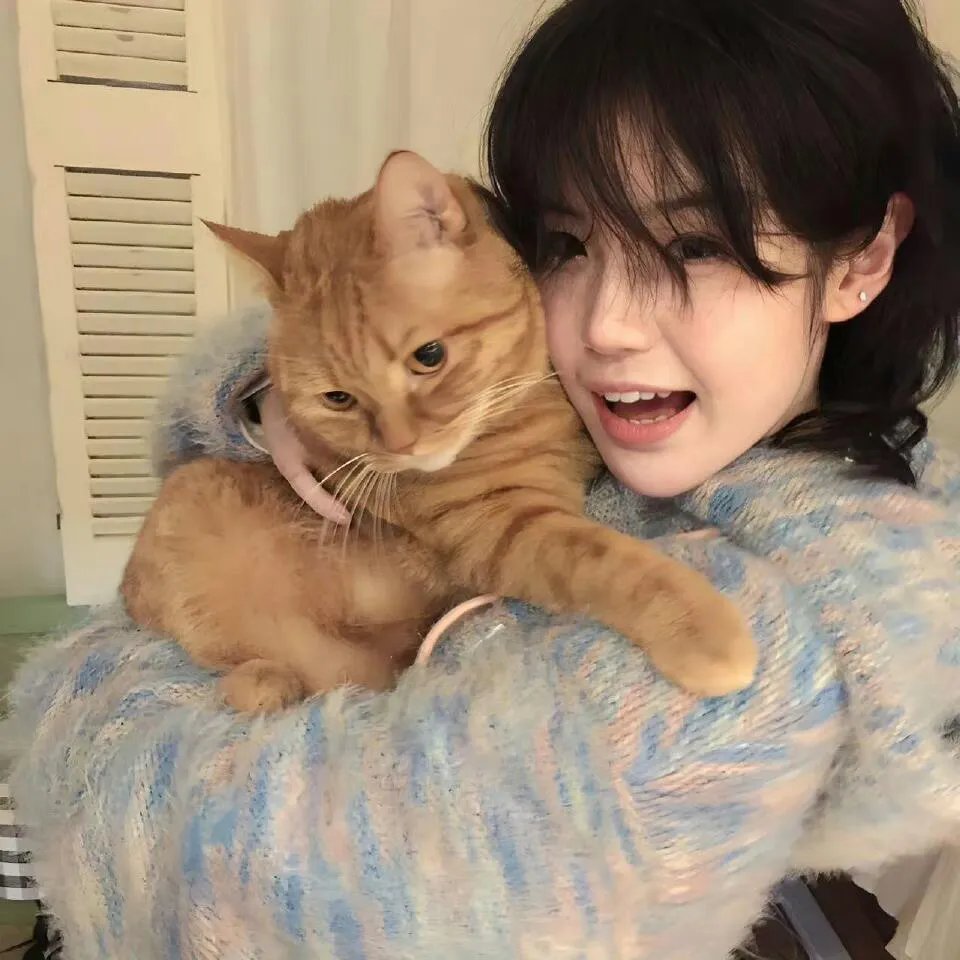 白莲花度假村第二季